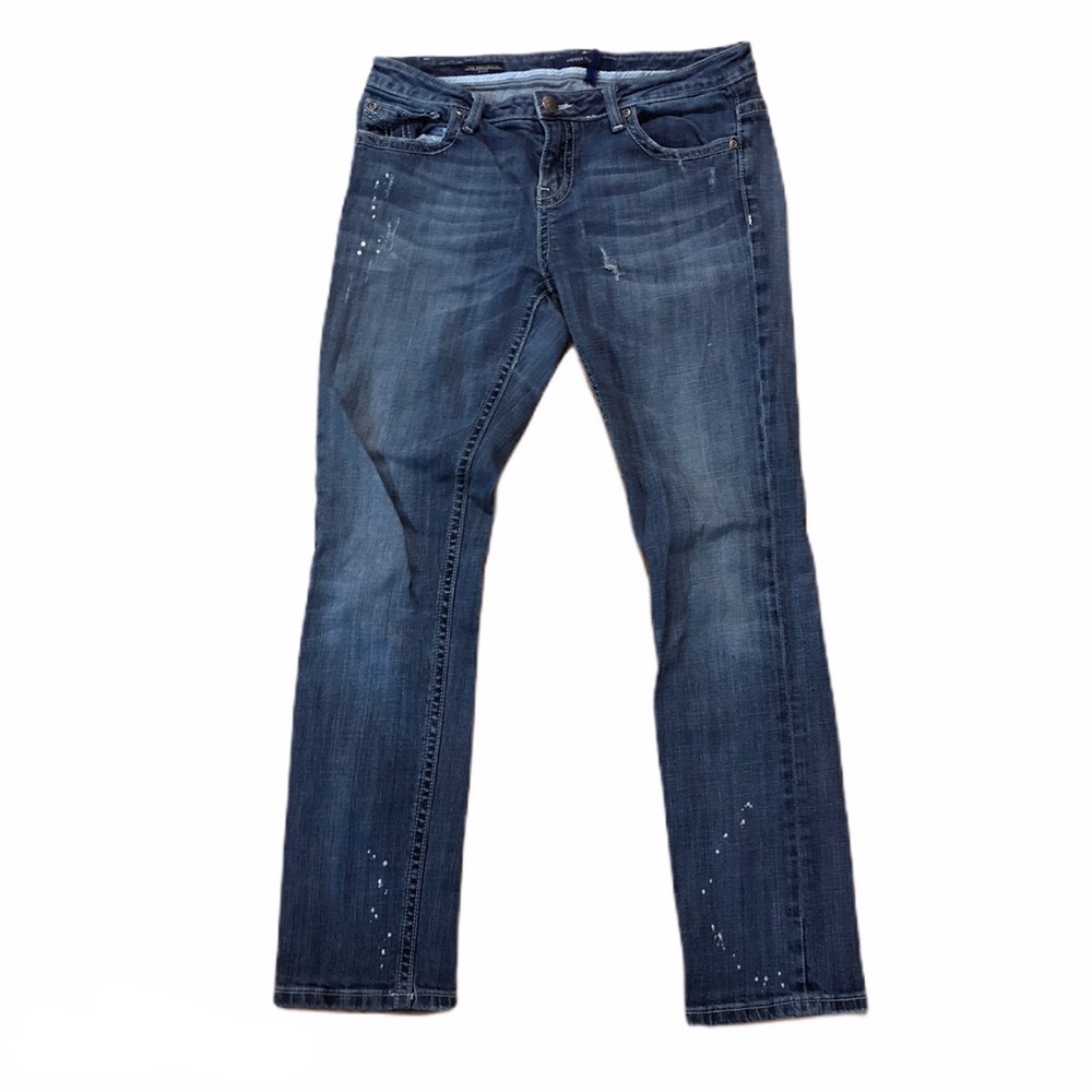 Vigoss the Brooklyn Skinny Jeans 0308